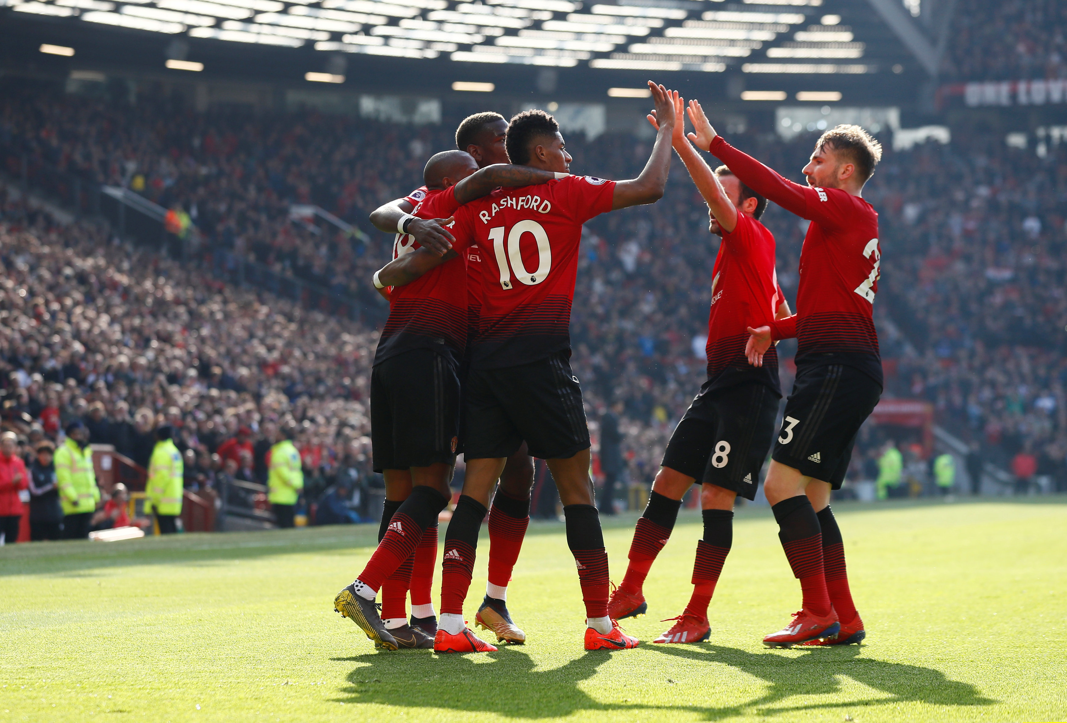 的身体健康 的身体健康